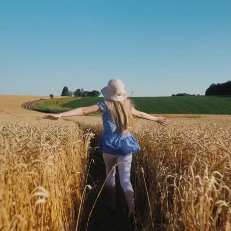 carefree girl runs in a wheat field