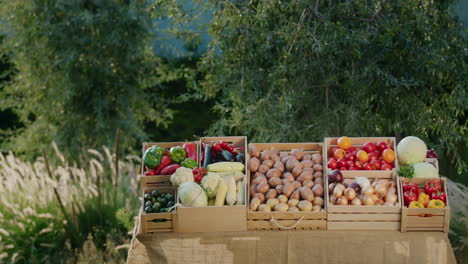 a stall with seasonal vegetables from local producers. copy space composition, static shot