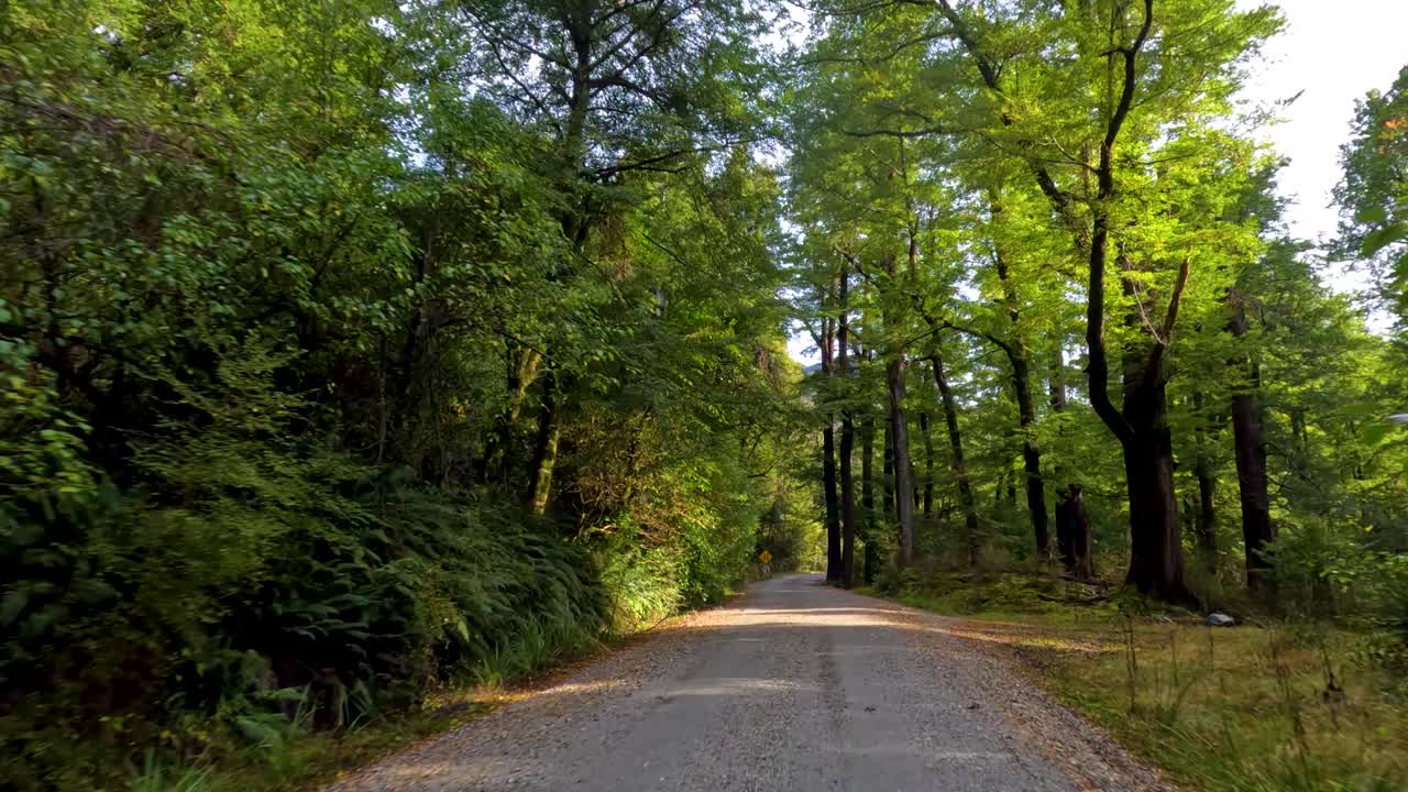 Vehicle travels along winding gravel forest road, lush greenery, natural light, wide-angle perspective