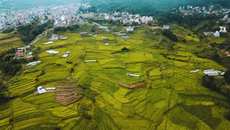 Vista-Aérea-De-Las-Tierras-De-Cultivo-De-Arroz-En-Terrazas-En-Nepal.