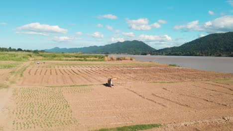 local small farming agriculture riverbank gardening along the mekong river bordering thailand and laos