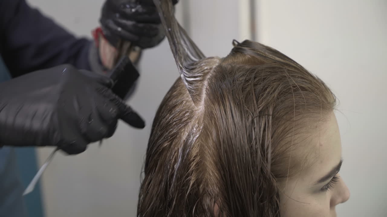 Professional hairdresser dyeing hair of woman at salon