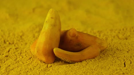 peel raw turmeric roots sitting on turmeric powder