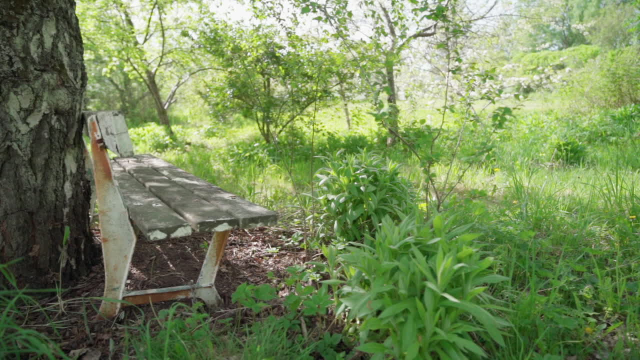 낭만적인 장소의 오래된 벤치