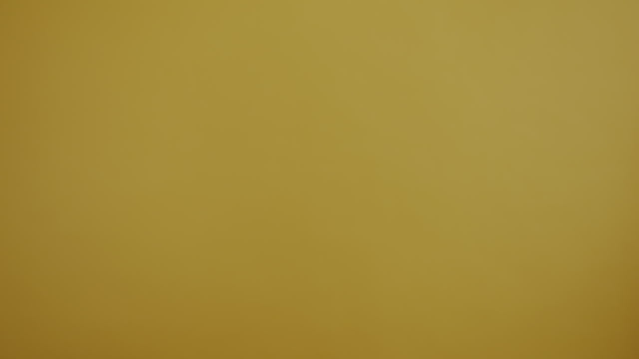 Hand Holding Passport and Tickets