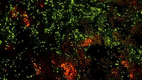 abstract glowing and flickering particles.