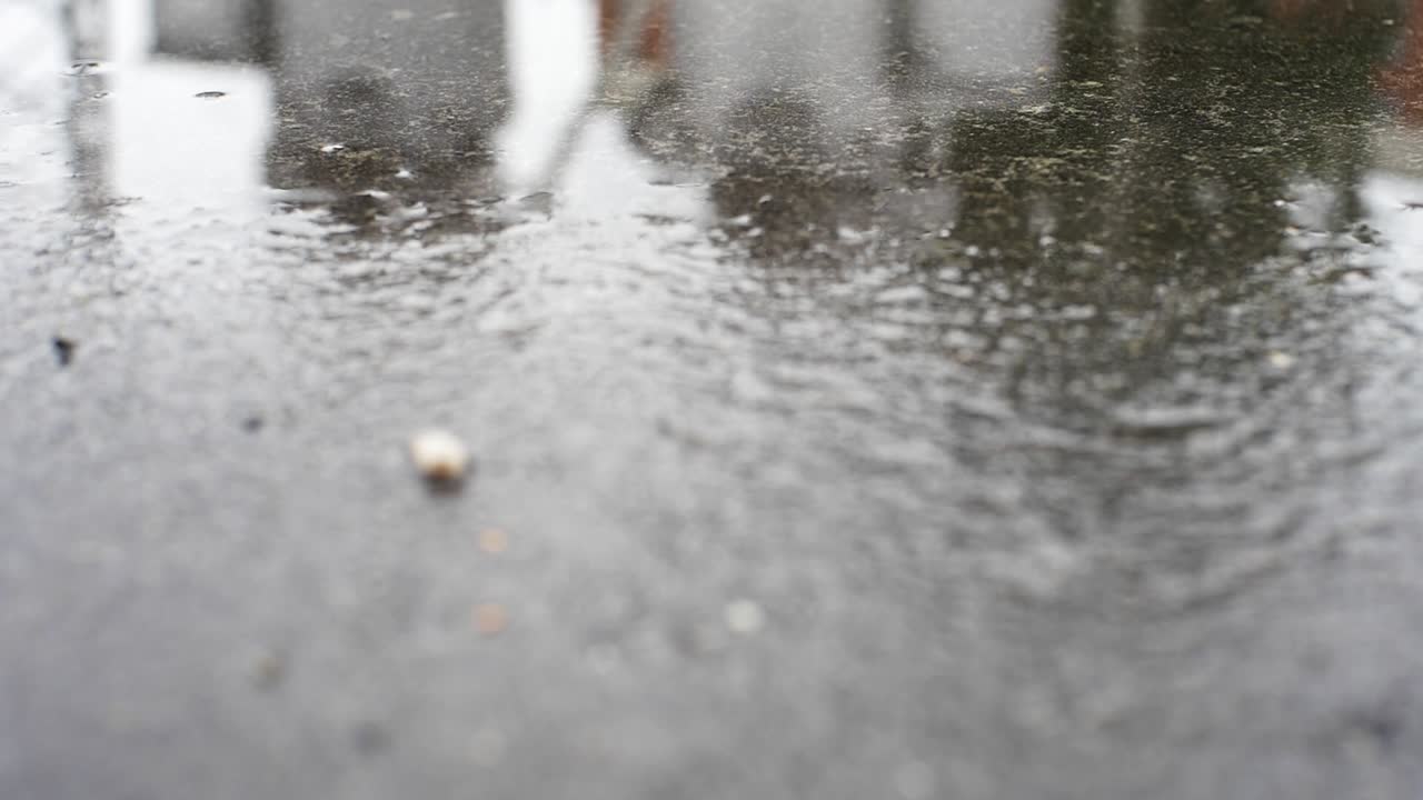 Wet Pavement After Rain