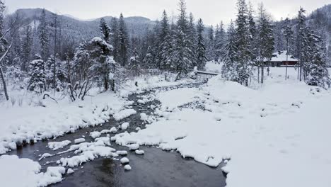 ice and snow on stream banks at kuåºnice, poland