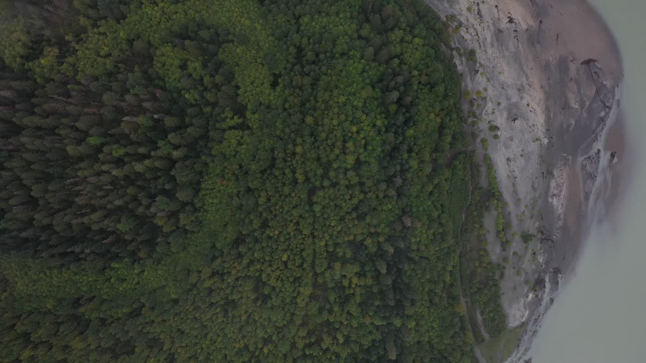 río elaho y bosque profundo en squamish bc