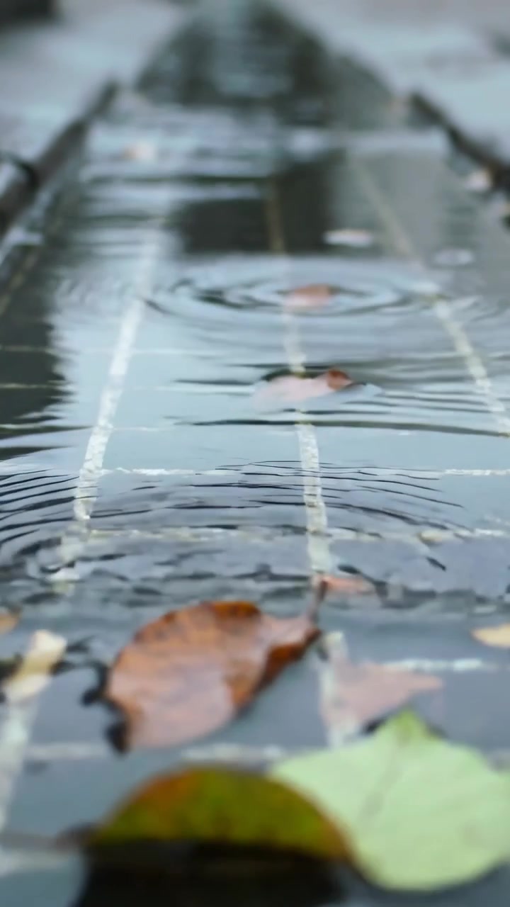 Vertical video: Raindrops striking water, sending ripples toward fallen leaves in tile gutter