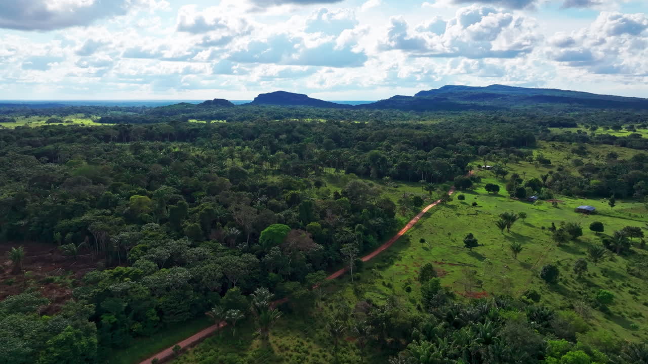 Droneoptagelse af Amazonregnskoven i Colombia, der indfanger tæt jungletag, frodig tropisk vegetation og det afsidesliggende landskabs enorme naturlige skala.