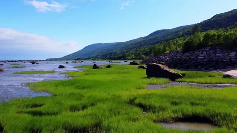 aerial footage over a marsh in charlevoix, quebec