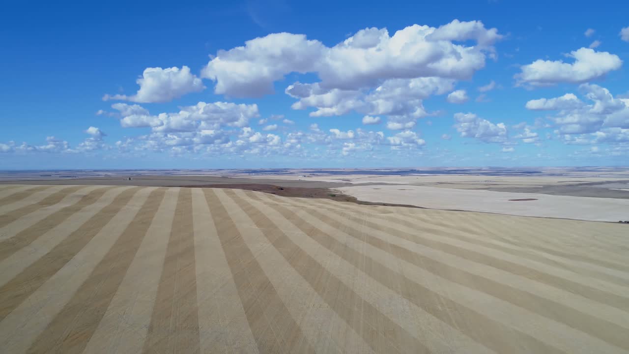 필드 4k의 공중 뷰