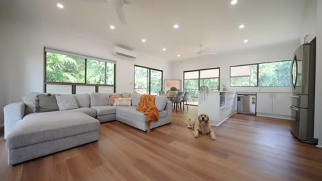 modern luxury living room with dog on ground, cozy ambiance, large windows, and stylish decor
