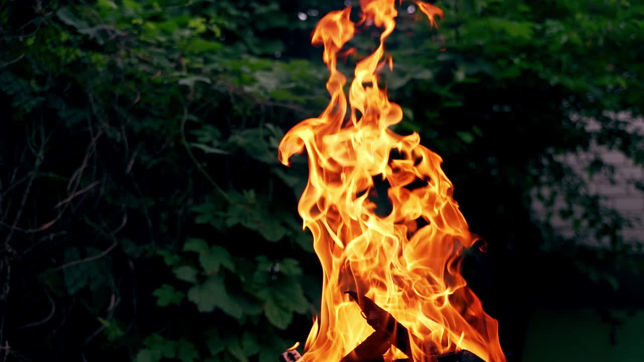 Big bonfire fire on nature background. Cozy evening in the forest outdoors. Burning wooden firewood, log, timber.