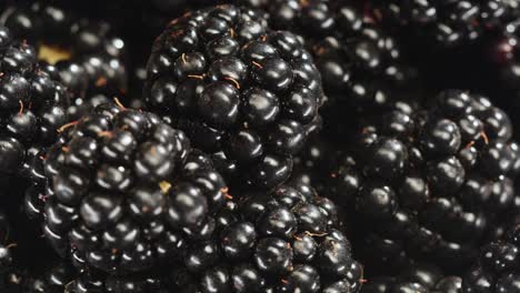 primer plano de las moras