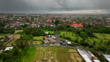 bali terraced rice paddies stretching out in vibrant shades of green