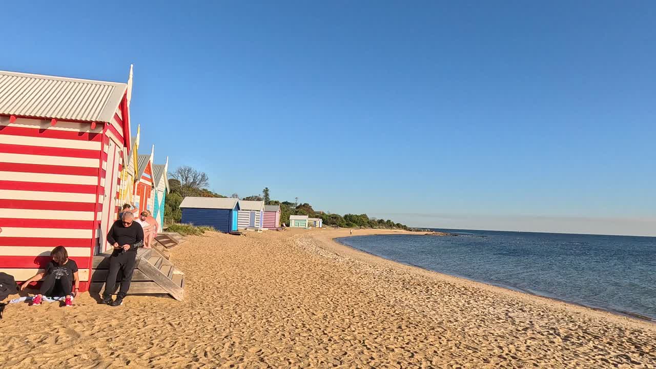 personas y perros disfrutando de la playa de brighton