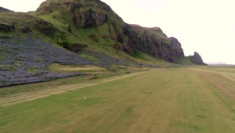 some sea birds nest on this big cliff