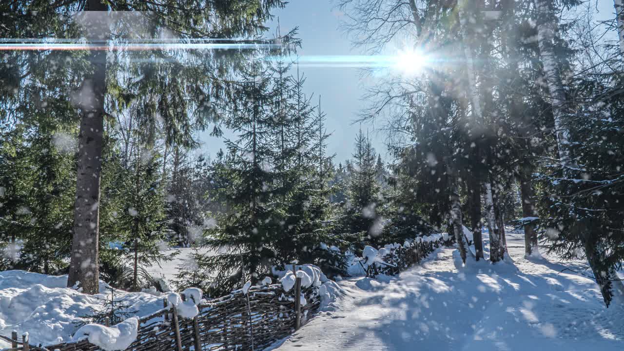 Sneklædt skov. Ovenfra-perspektiv i en sneklædt vinterskov, naturlandskab, frosne skove, smukt vinter solrigt landskab