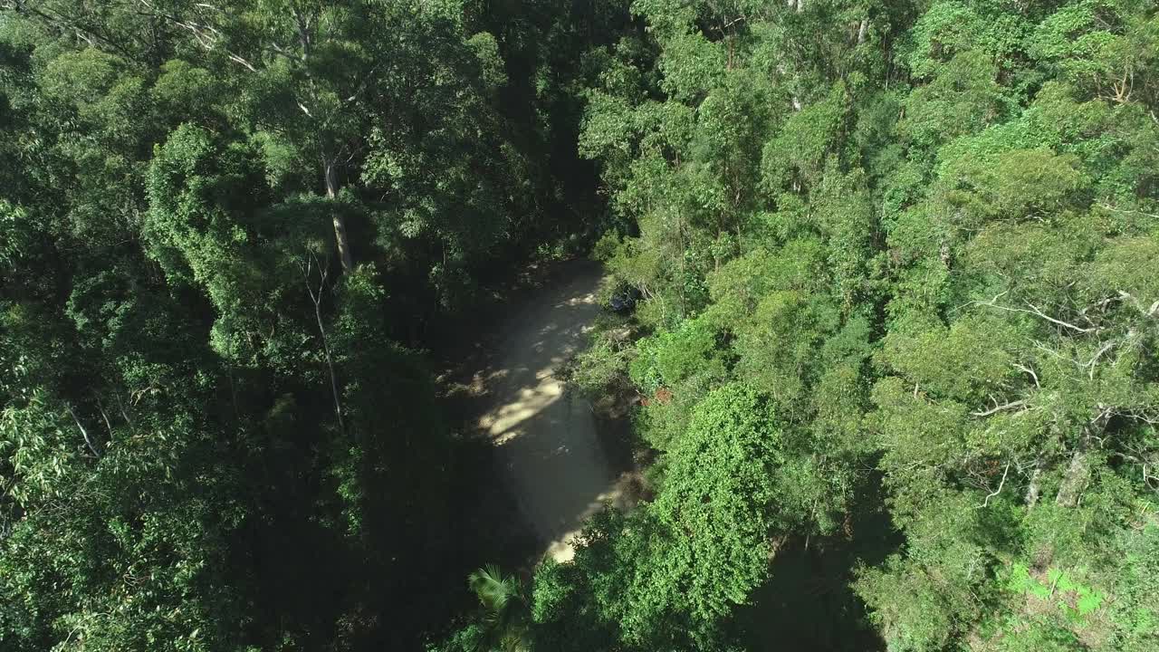 antena de una tracción en las cuatro ruedas dando un giro en un camino en un bosque durante un viaje de camping de aventura