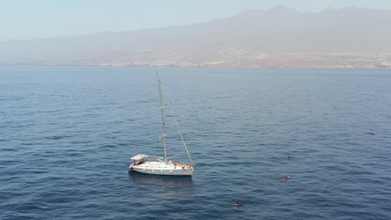 ballenas piloto con yate de vela blanca y la isla de tenerife en el fondo, antena