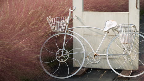 Decoración-De-La-Granja-De-La-Isla-De-Hierbas:-Bicicleta-Retro-Cerca-De-Muhly-Rosa-Y-Marco-De-Puerta-Blanco-Para-Que-La-Gente-Se-Tome-Fotos