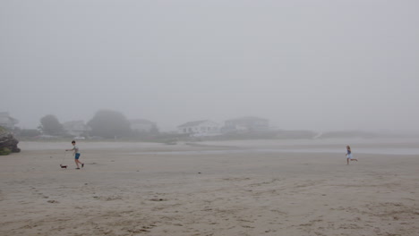 foggy beach scene with people and dog