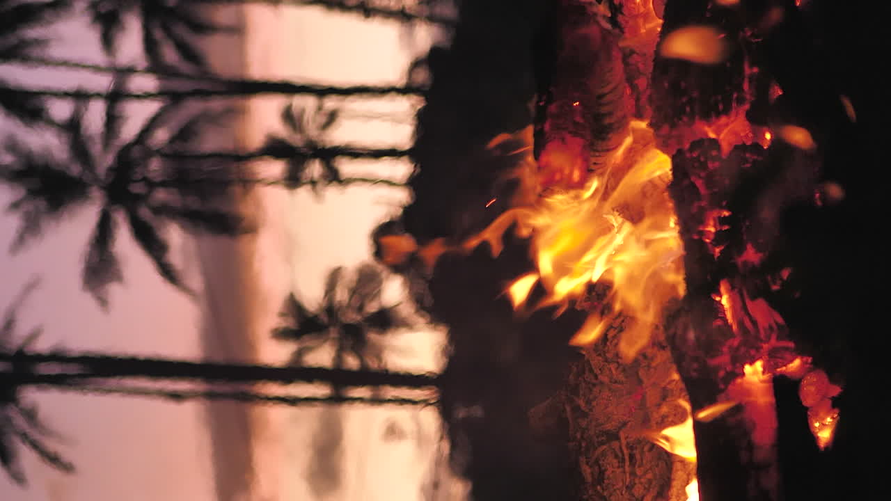 해가 지는 동안 파인스 섬 해변의 캠프불의 수직 클로즈업, 60fps
