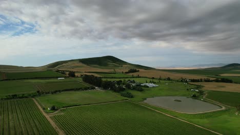 Green-vineyard-and-hills-of-Cape-Winelands-in-South-Africa-on-cloudy-day,-aerial