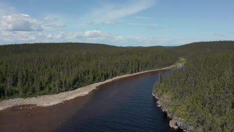 drone advancing over a creek on a sunny day in a wild forest