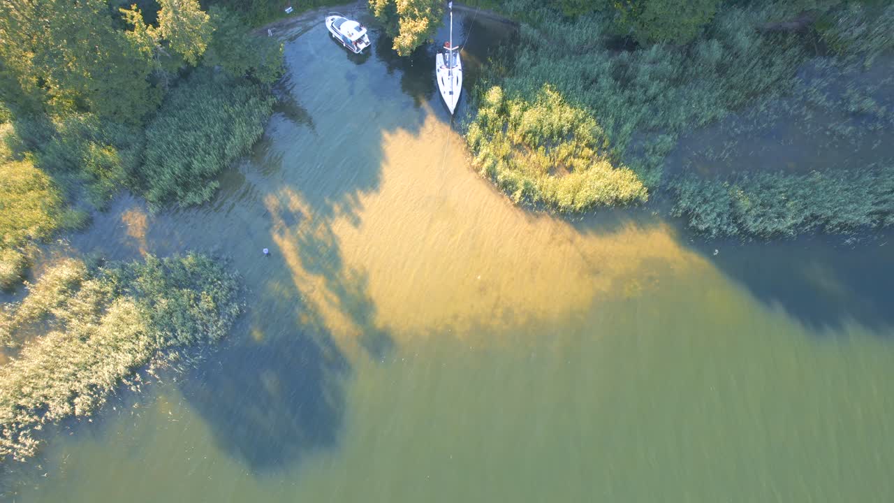 맑고 투명한 청록색 바다와 소나무가 있는 열대 이국적인 섬에 정박한 호화 요트 2척의 공중 드론 샷