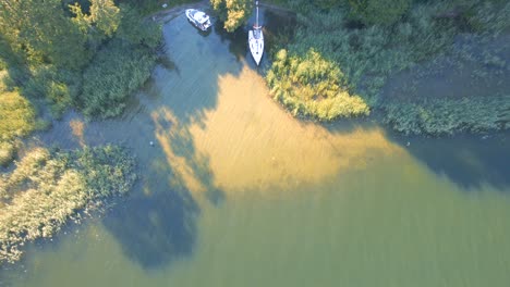 un dron aéreo de dos yates de lujo anclados en una isla tropical exótica con un mar turquesa cristalino y pinos