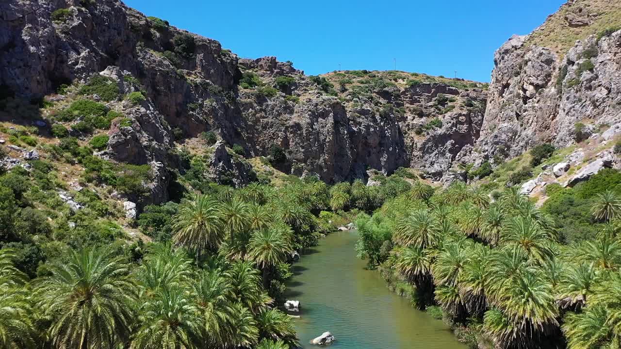 un río verde que fluye a través del bosque de palmeras de vai en creta