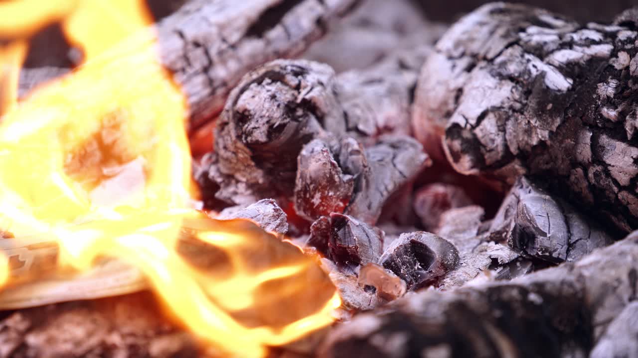 Dollar banknotes falling on black embers and burn. Money burning in firewood. Background of black embers and two banknotes of American money are burning quickly.