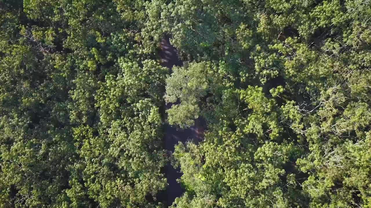 tomas de drones de los famosos túneles y la región de cu chi en vietnam, cerca de la ciudad de ho chi minh