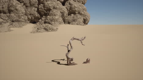 un árbol muerto solitario se encuentra en el medio de un vasto paisaje desértico