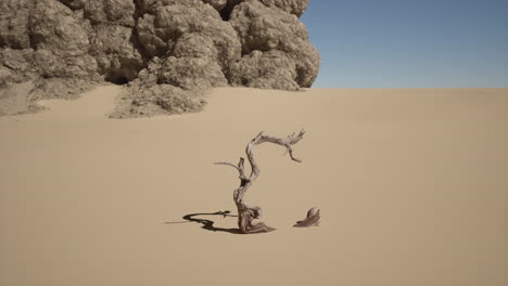 a lone dead tree stands in the middle of a vast desert landscape