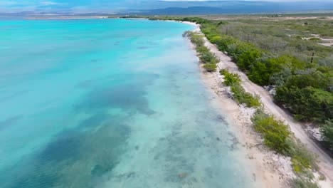 aerial over pristine caribbean coastline with white sand and lush vegetation