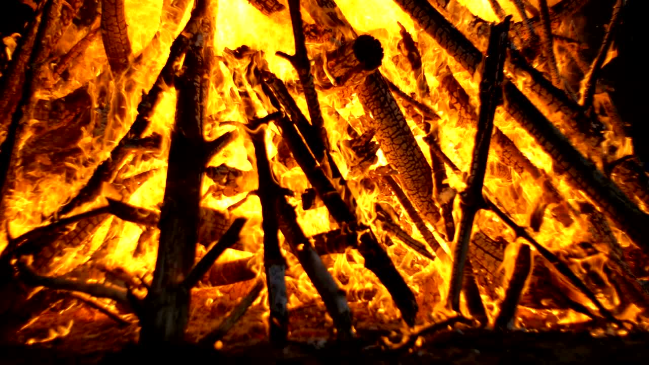 큰 캠프 불은 밤에 숲에서 나가지에서 불타고 있습니다.