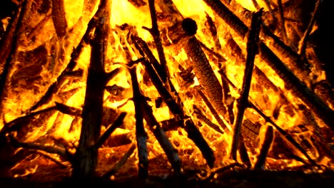 una gran fogata de ramas que arde por la noche en el bosque