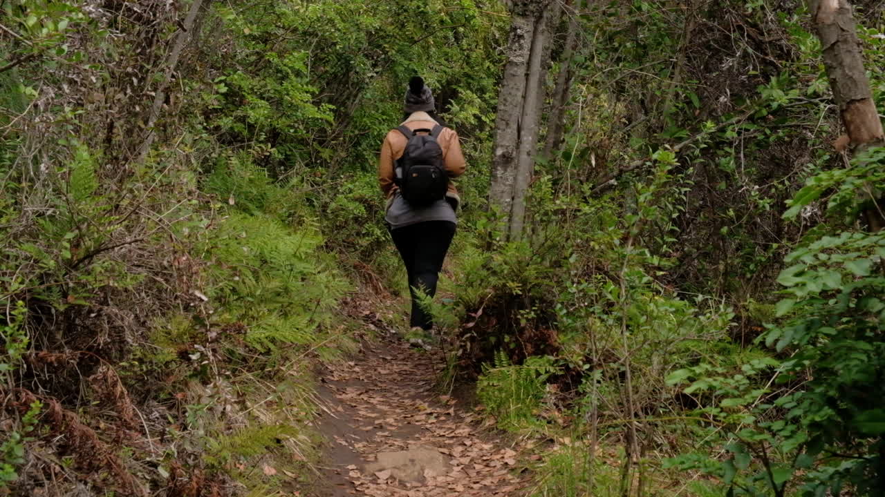 joven morena vestida de invierno caminando por un sendero estrecho rodeado de bosque verde alejándose de la cámara