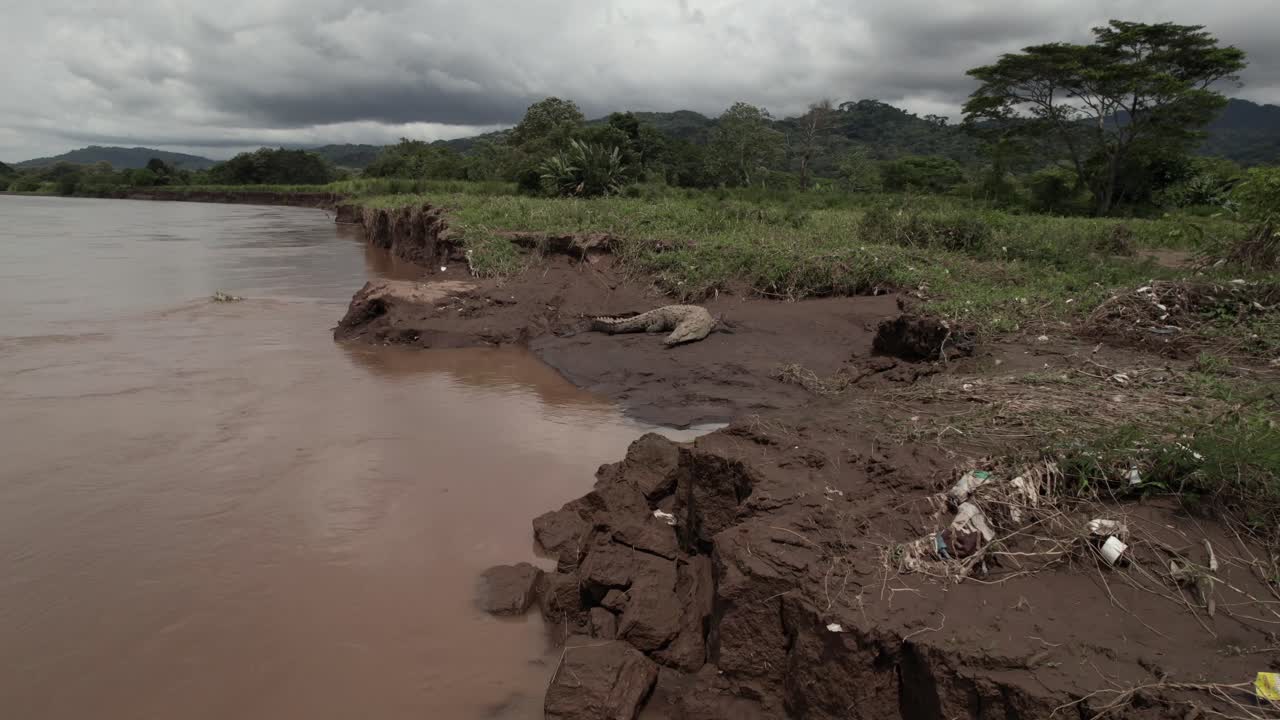 Coccodrillo turbato: Tour in barca sulla sponda del fiume, Costa Rica