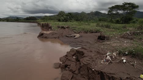 Krokodil-Verärgert-Bootstour-Am-Flussufer-Von-Costa-Rica