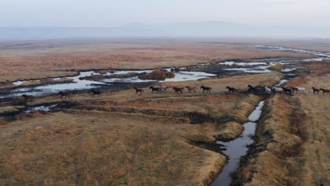 running horses in scenic landscape of kayseri in turkey - aerial shot