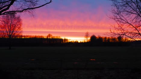 Fliegen-In-Der-Nähe-Von-Kahlen-Birken-In-Richtung-Dunkler-Waldsilhouette-Bei-Farbenfrohem-Sonnenuntergang