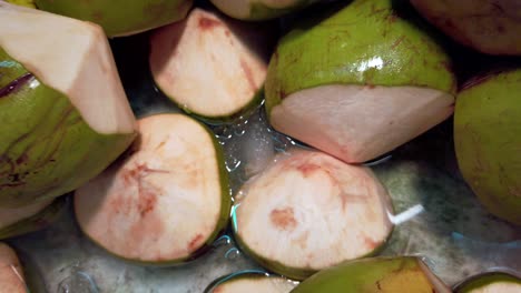 alejándose del balde lleno de fruta de coco