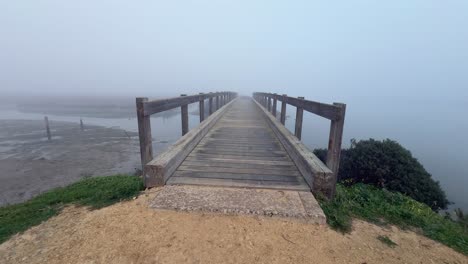 Walking-along-the-wooden-waterfront-promenade-sparks-excitement-for-exploration-and-adventure-amidst-the-aquatic-environment