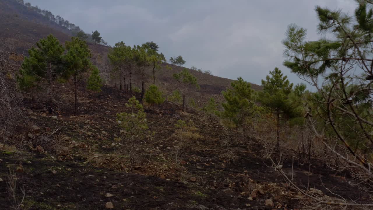 efecto de los cambios climáticos en las colinas después de que un incendio dejara la tierra destruida