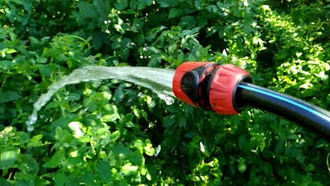 watering garden slow motion close up